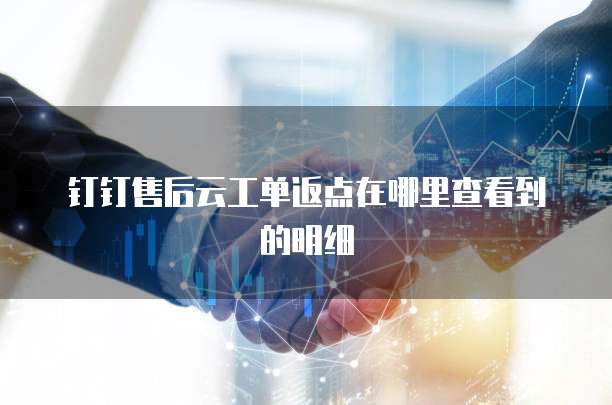 钉钉售后云工单返点在哪里查看到的明细