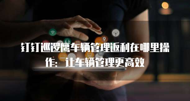 钉钉巡逻鹰车辆管理返利在哪里操作:让车辆管理更高效