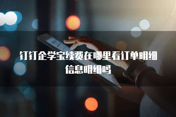 钉钉企学宝续费在哪里看订单明细信息明细吗