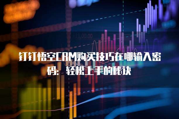 钉钉悟空CRM购买技巧在哪输入密码:轻松上手的秘诀
