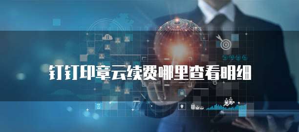 钉钉印章云续费哪里查看明细