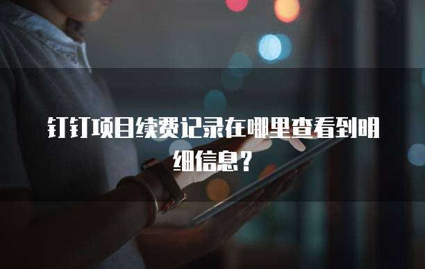 钉钉项目续费记录在哪里查看到明细信息?