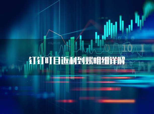 钉钉盯目返利到账明细详解