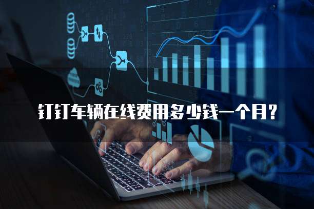 钉钉车辆在线费用多少钱一个月?