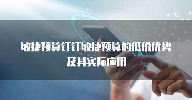 敏捷预算钉钉敏捷预算的低价优势及其实际应用
