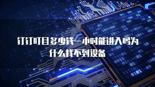 钉钉盯目多少钱一小时能进入吗为什么找不到设备