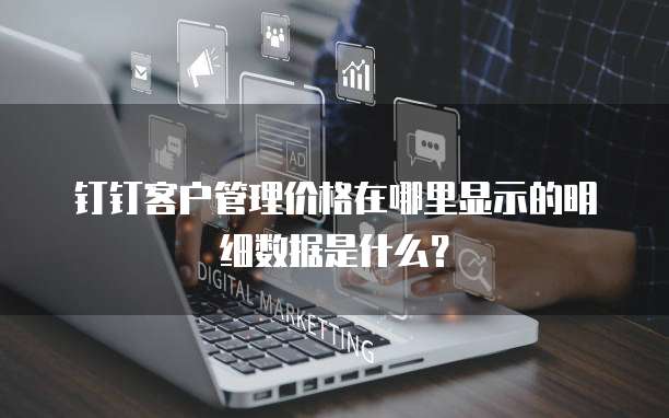 钉钉客户管理价格在哪里显示的明细数据是什么?