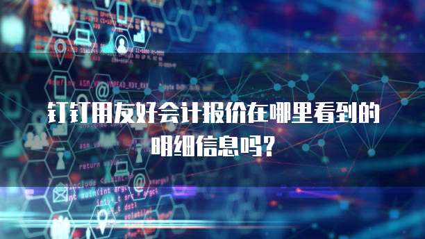 钉钉用友好会计报价在哪里看到的明细信息吗?