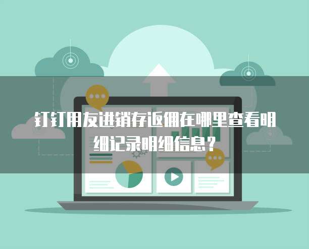 钉钉用友进销存返佣在哪里查看明细记录明细信息?