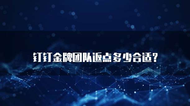 钉钉金牌团队返点多少合适?