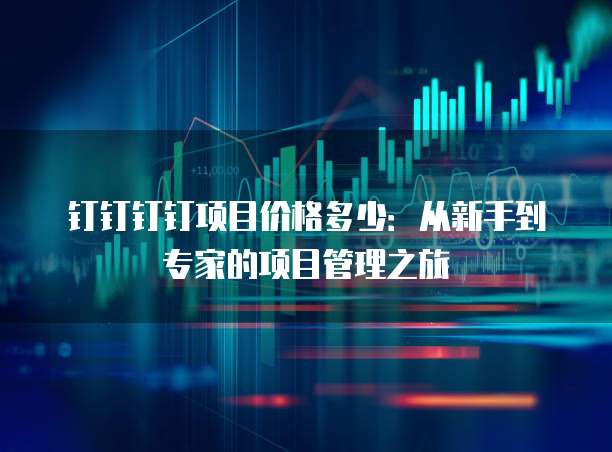 钉钉钉钉项目价格多少:从新手到专家的项目管理之旅
