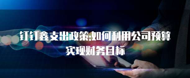 钉钉鑫支出政策:如何利用公司预算实现财务目标