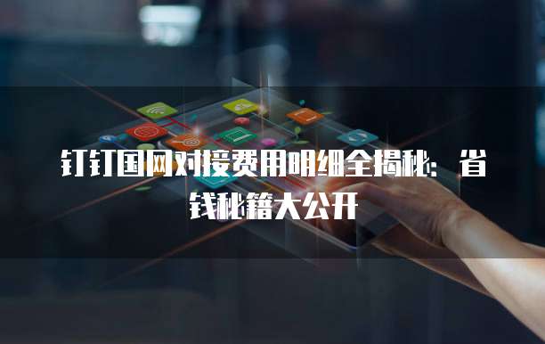 钉钉国网对接费用明细全揭秘:省钱秘籍大公开