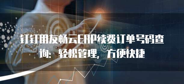 钉钉用友畅云ERP续费订单号码查询:轻松管理,方便快捷