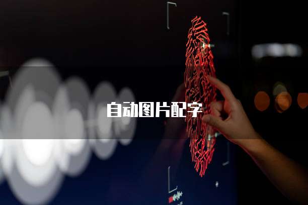 钉钉小云圈跟单宝价格区别大吗?