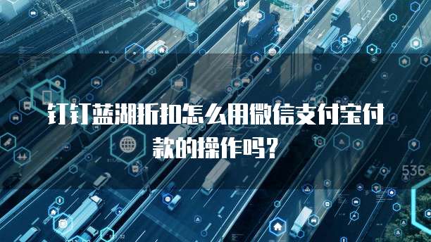 钉钉蓝湖折扣怎么用微信支付宝付款的操作吗?