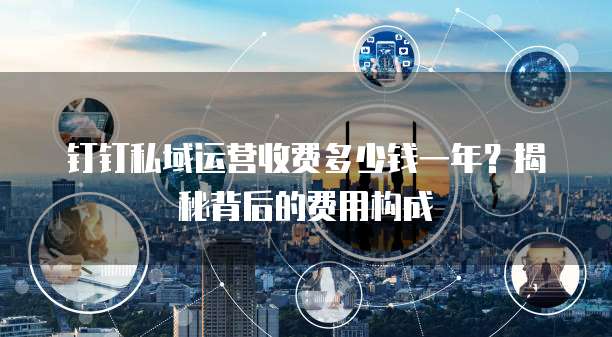 钉钉私域运营收费多少钱一年?揭秘背后的费用构成