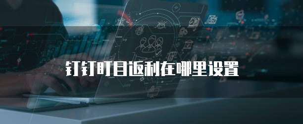 钉钉盯目返利在哪里设置