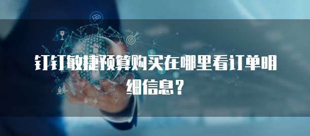 钉钉敏捷预算购买在哪里看订单明细信息?