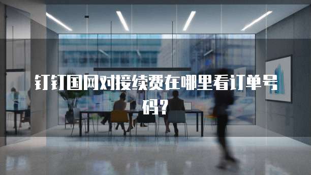 钉钉国网对接续费在哪里看订单号码?