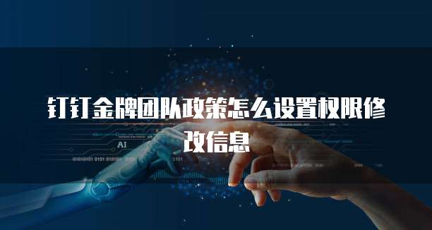 钉钉金牌团队政策怎么设置权限修改信息