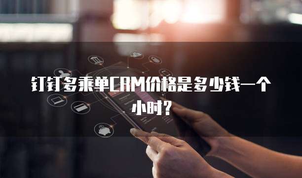 钉钉多乘单CRM价格是多少钱一个小时?