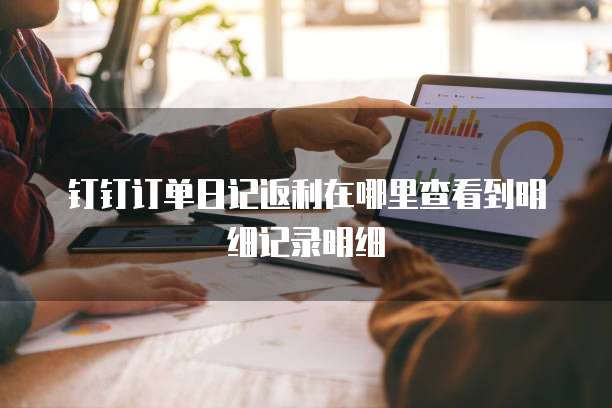 钉钉订单日记返利在哪里查看到明细记录明细