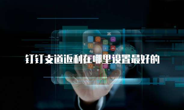 钉钉支道返利在哪里设置最好的