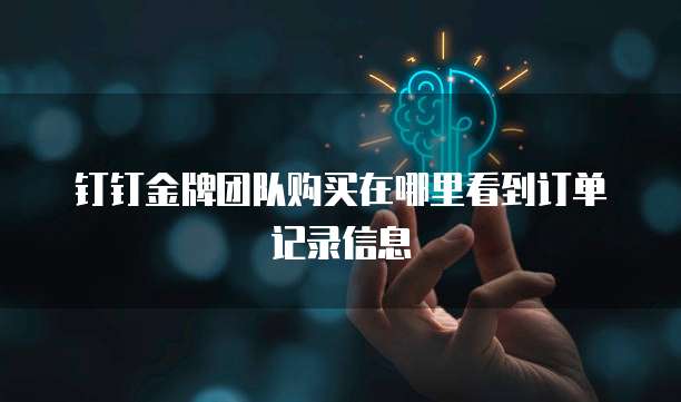 钉钉金牌团队购买在哪里看到订单记录信息
