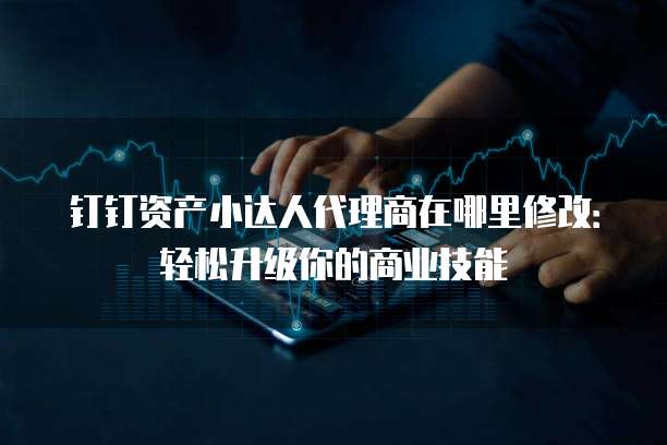 钉钉资产小达人代理商在哪里修改:轻松升级你的商业技能