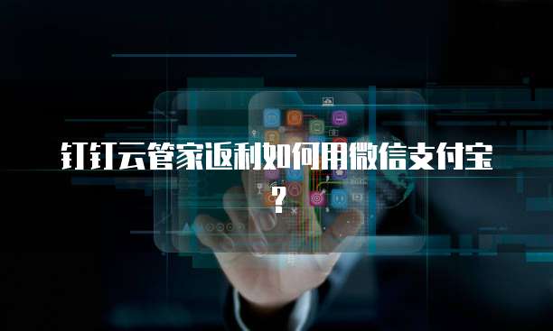 钉钉云管家返利如何用微信支付宝?