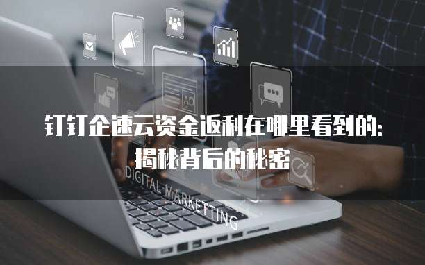 钉钉企速云资金返利在哪里看到的:揭秘背后的秘密