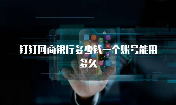 钉钉网商银行多少钱一个账号能用多久