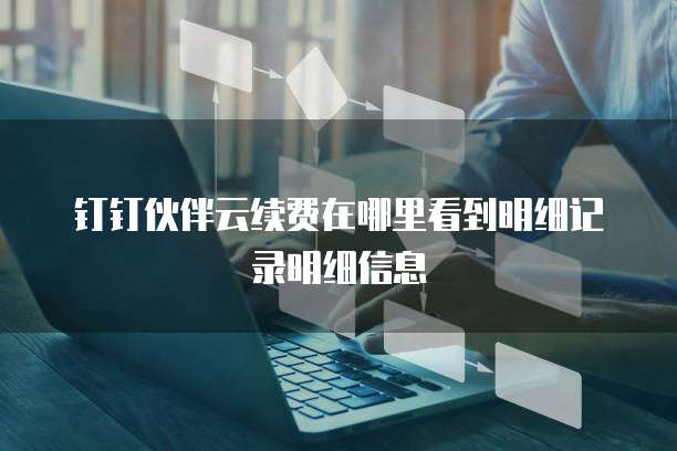 钉钉伙伴云续费在哪里看到明细记录明细信息