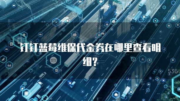 钉钉蓝莓维保代金券在哪里查看明细?