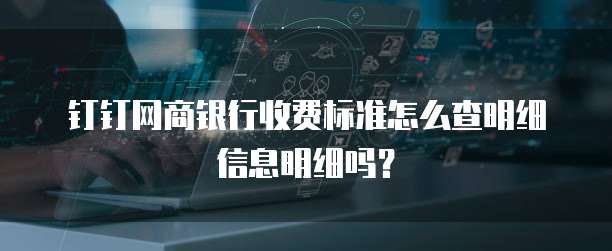 钉钉网商银行收费标准怎么查明细信息明细吗？