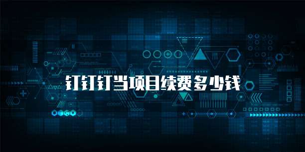 钉钉钉当项目续费多少钱
