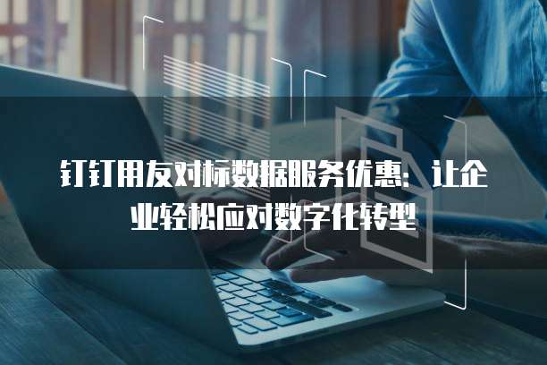 钉钉用友对标数据服务优惠:让企业轻松应对数字化转型
