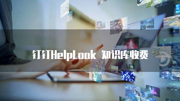 钉钉HelpLook 知识库收费