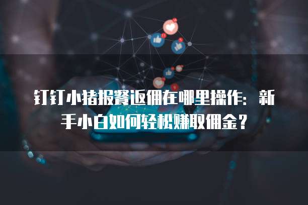 钉钉小猪报餐返佣在哪里操作:新手小白如何轻松赚取佣金?