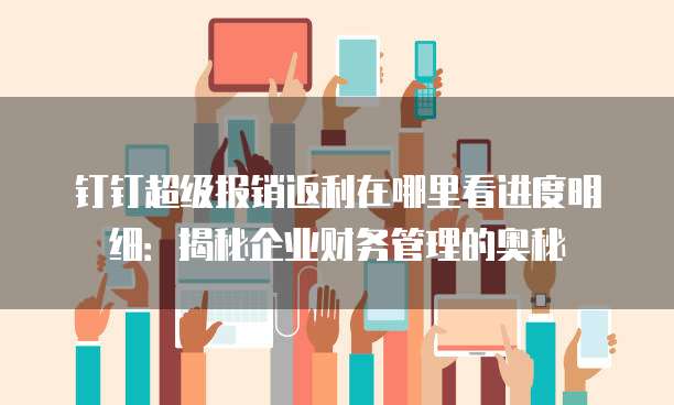钉钉超级报销返利在哪里看进度明细:揭秘企业财务管理的奥秘