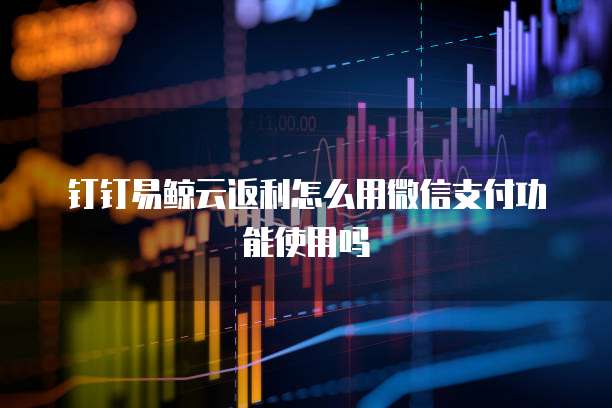 钉钉易鲸云返利怎么用微信支付功能使用吗