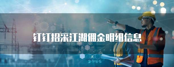 钉钉招采江湖佣金明细信息