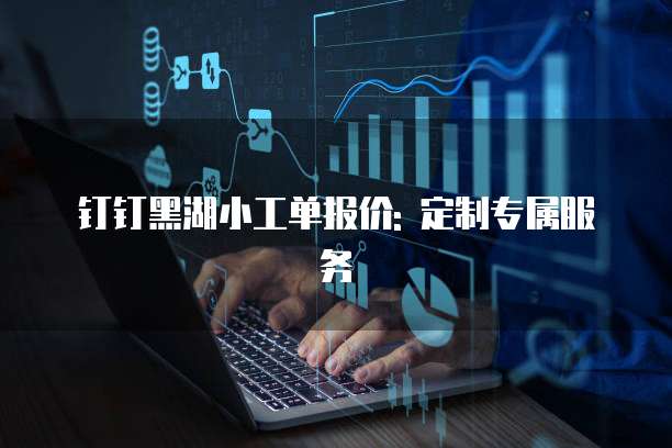 钉钉黑湖小工单报价: 定制专属服务