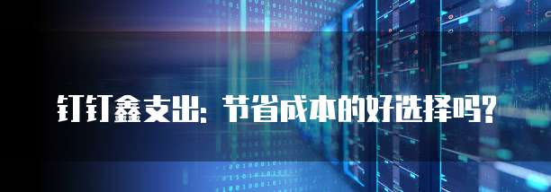 钉钉鑫支出: 节省成本的好选择吗?