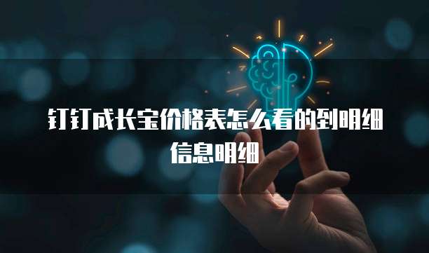 钉钉成长宝价格表怎么看的到明细信息明细