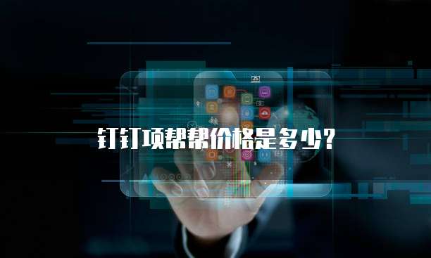 钉钉项帮帮价格是多少？