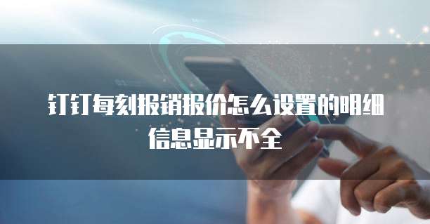 钉钉每刻报销报价怎么设置的明细信息显示不全