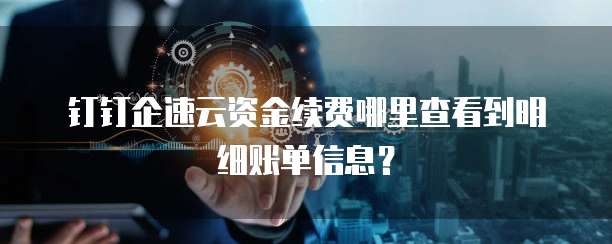 钉钉企速云资金续费哪里查看到明细账单信息?