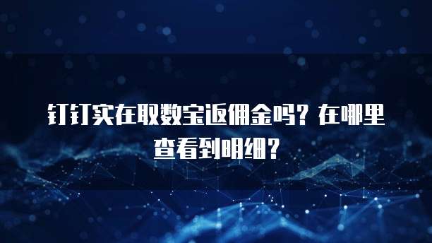钉钉实在取数宝返佣金吗?在哪里查看到明细?